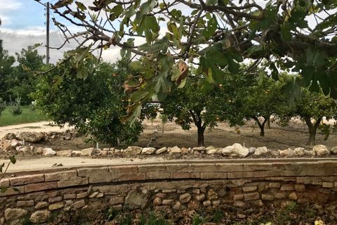 Finca i Bitem, Tarragona, Bitem - € 48 000 | Ref: Om - foto 7
