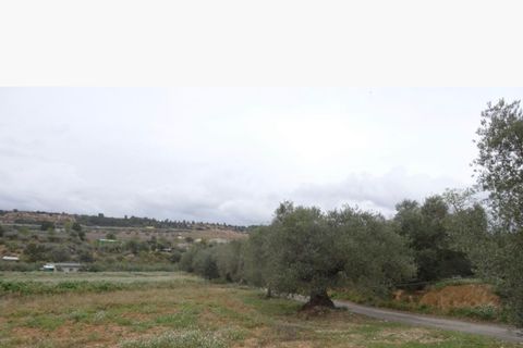 Finca i Mora La Nova, Tarragona, Mora La Nova - € 35.000 | Ref: Mln - foto 9