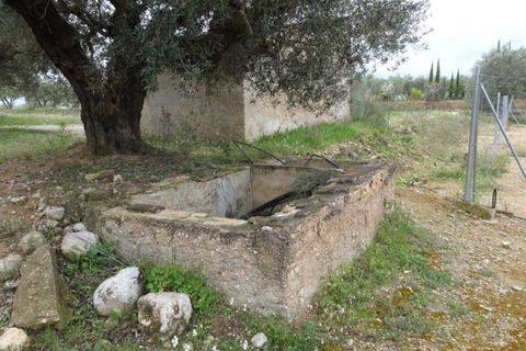 Finca i Mora La Nova, Tarragona, Mora La Nova - € 35.000 | Ref: Mln - foto 7