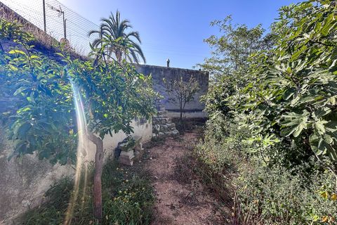 Cave house i Casas Del Senor, Alicante, Casas Del Senor - € 105.000 | Ref: MA009 - foto 6