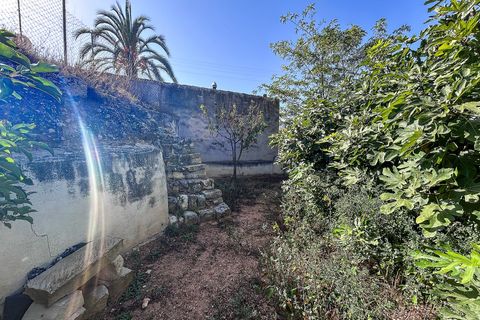 Cave house i Casas Del Senor, Alicante, Casas Del Senor - € 105.000 | Ref: MA009 - foto 7