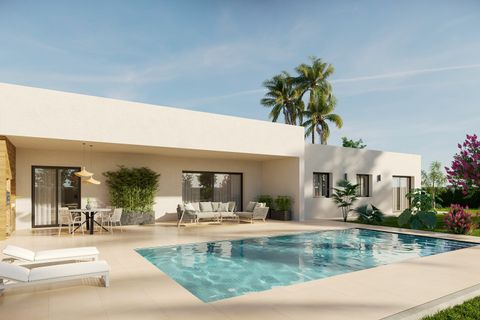 Villa i Aspe, Alicante, Aspe - € 334.000 | Ref: ANAM-PALATINO - foto 8