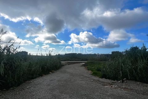 Helårsgrund i Alcabideche, Lisbon, Alcabideche - € 680.000 | Ref: ZMPT582258 - foto 4