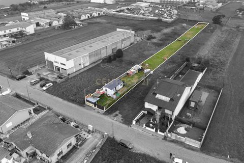 Helårsgrund i Espinho, Aveiro, Espinho - € 130.000 | Ref: C0496-00164 - foto 3