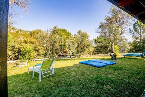 Landejendom i Baiao, Porto, Baiao - € 495.000 | Ref: 20251127DR/12937 - foto 6