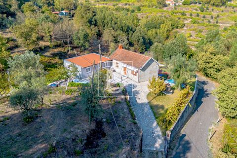 Landejendom i Baiao, Porto, Baiao - € 495.000 | Ref: 20251127DR/12937 - foto 19