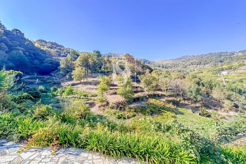 Landejendom i Baiao, Porto, Baiao - € 495.000 | Ref: 20251127DR/12937 - foto 20