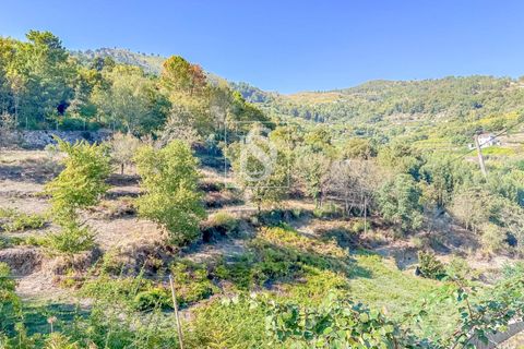 Landejendom i Baiao, Porto, Baiao - € 495.000 | Ref: 20251127DR/12937 - foto 21