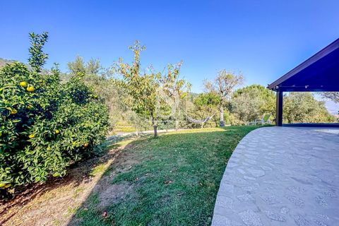 Landejendom i Baiao, Porto, Baiao - € 495.000 | Ref: 20251127DR/12937 - foto 23