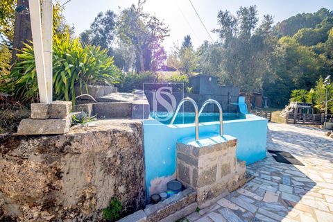 Landejendom i Baiao, Porto, Baiao - € 495.000 | Ref: 20251127DR/12937 - foto 37