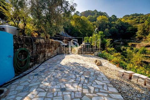 Landejendom i Baiao, Porto, Baiao - € 495.000 | Ref: 20251127DR/12937 - foto 38