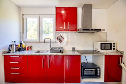 Landejendom i Baiao, Porto, Baiao - € 495.000 | Ref: 20251127DR/12937 - foto 39
