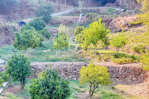 Landejendom i Baiao, Porto, Baiao - € 495.000 | Ref: 20251127DR/12937 - foto 41