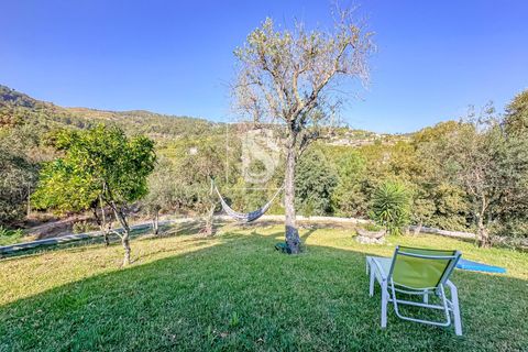 Landejendom i Baiao, Porto, Baiao - € 495.000 | Ref: 20251127DR/12937 - foto 42