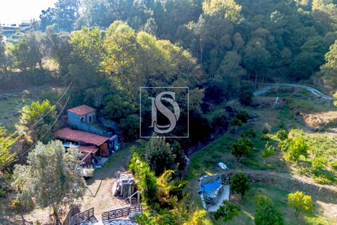 Landejendom i Baiao, Porto, Baiao - € 495.000 | Ref: 20251127DR/12937 - foto 43