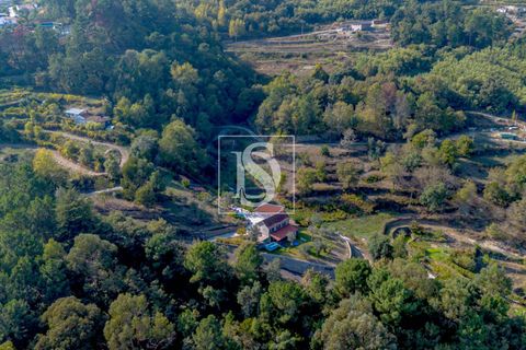Landejendom i Baiao, Porto, Baiao - € 495.000 | Ref: 20251127DR/12937 - foto 45