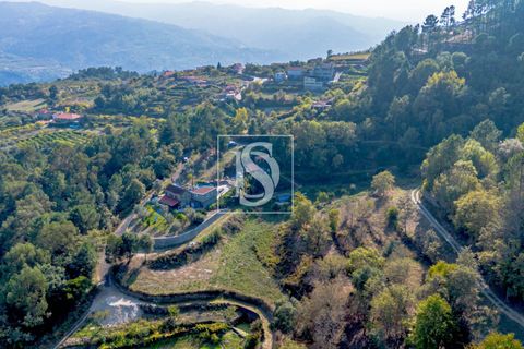 Landejendom i Baiao, Porto, Baiao - € 495.000 | Ref: 20251127DR/12937 - foto 47