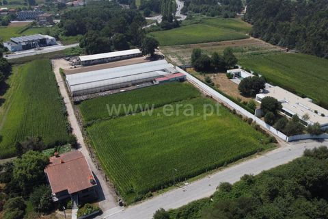 Helårsgrund i Maia, Porto, Maia - € 775.000 | Ref: 352250206 - foto 2