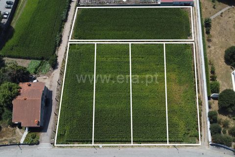 Helårsgrund i Maia, Porto, Maia - € 775.000 | Ref: 352250206 - foto 1