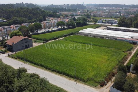 Helårsgrund i Maia, Porto, Maia - € 775.000 | Ref: 352250206 - foto 6