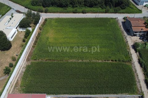 Helårsgrund i Maia, Porto, Maia - € 775.000 | Ref: 352250206 - foto 7