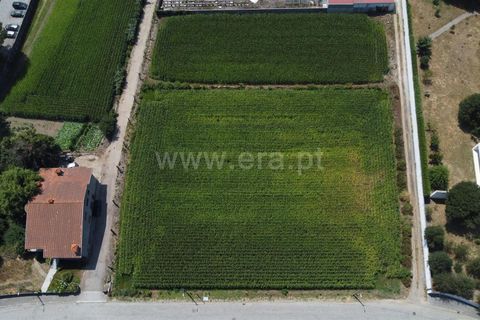Helårsgrund i Maia, Porto, Maia - € 775.000 | Ref: 352250206 - foto 8