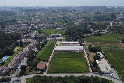 Helårsgrund i Maia, Porto, Maia - € 775.000 | Ref: 352250206 - foto 10