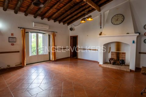 Erhvervsejendom i Castro Verde, Beja, Castro Verde - € 275.000 | Ref: W-046Q9T - foto 3