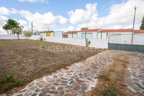 Erhvervsejendom i Castro Verde, Beja, Castro Verde - € 275.000 | Ref: W-046Q9T - foto 13