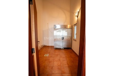 Erhvervsejendom i Castro Verde, Beja, Castro Verde - € 275.000 | Ref: W-046Q9T - foto 23