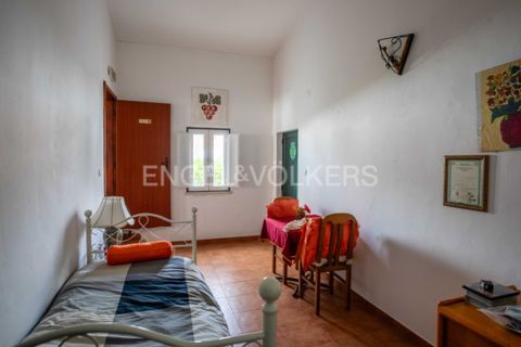 Erhvervsejendom i Castro Verde, Beja, Castro Verde - € 275.000 | Ref: W-046Q9T - foto 29
