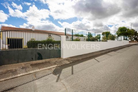 Erhvervsejendom i Castro Verde, Beja, Castro Verde - € 275.000 | Ref: W-046Q9T - foto 32