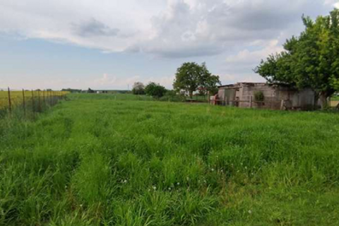 Rækkehus i Nogara, Verona, Nogara - € 72.000 | Ref: GB11062026 - foto 24
