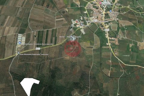Helårsgrund i Sousel, Portalegre, Sousel - € 130.000 | Ref: T875-MV15-11SOU - foto 1