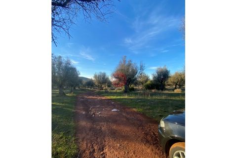 Helårsgrund i Sousel, Portalegre, Sousel - € 130.000 | Ref: T875-MV15-11SOU - foto 6