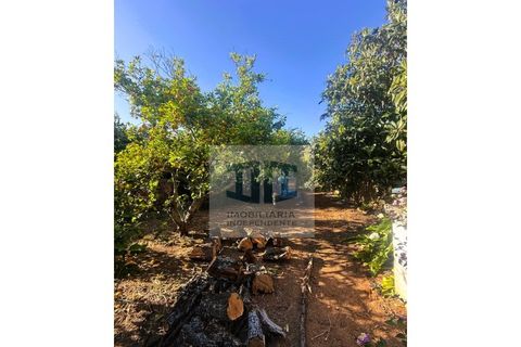 Byhus i Alte, Faro, Alte - € 199.000 | Ref: HAB_237 - foto 17