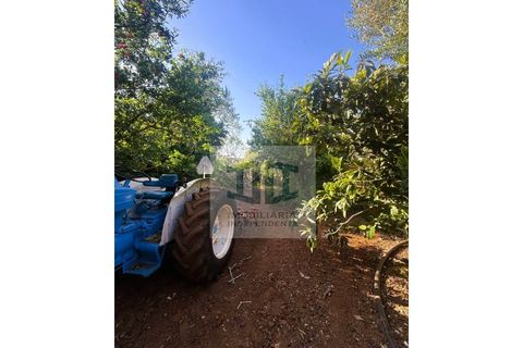 Byhus i Alte, Faro, Alte - € 199.000 | Ref: HAB_237 - foto 19