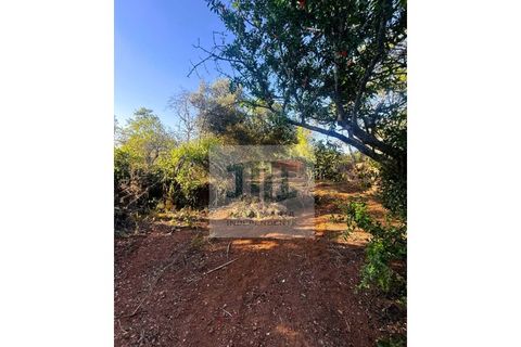 Byhus i Alte, Faro, Alte - € 199.000 | Ref: HAB_237 - foto 20