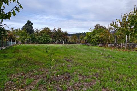 Helårsgrund i Cambeses, Viana do Castelo, Cambeses - € 70.000 | Ref: 4298 - foto 3