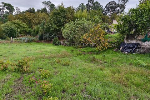 Helårsgrund i Cambeses, Viana do Castelo, Cambeses - € 70.000 | Ref: 4298 - foto 6