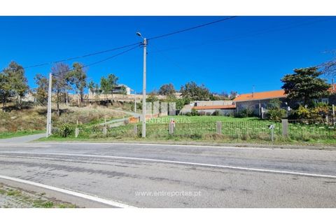 Helårsgrund i Loivos do Monte, Porto, Loivos do Monte - € 46.500 | Ref: MC09855 - foto 1