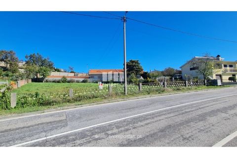 Helårsgrund i Loivos do Monte, Porto, Loivos do Monte - € 46.500 | Ref: MC09855 - foto 3