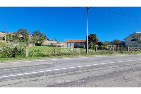 Helårsgrund i Loivos do Monte, Porto, Loivos do Monte - € 46.500 | Ref: MC09855 - foto 6