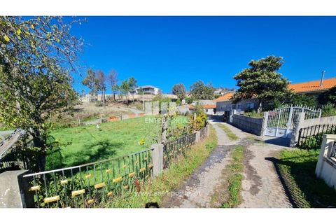 Helårsgrund i Loivos do Monte, Porto, Loivos do Monte - € 46.500 | Ref: MC09855 - foto 17