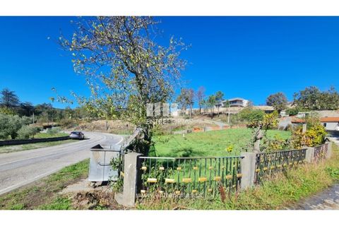 Helårsgrund i Loivos do Monte, Porto, Loivos do Monte - € 46.500 | Ref: MC09855 - foto 18