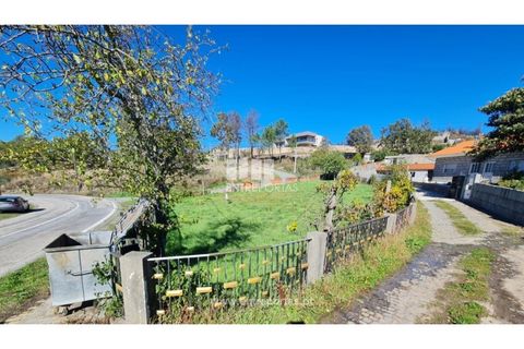 Helårsgrund i Loivos do Monte, Porto, Loivos do Monte - € 46.500 | Ref: MC09855 - foto 21