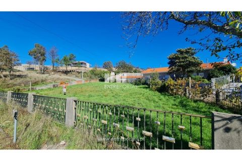 Helårsgrund i Loivos do Monte, Porto, Loivos do Monte - € 46.500 | Ref: MC09855 - foto 23