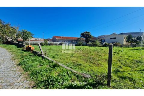 Helårsgrund i Loivos do Monte, Porto, Loivos do Monte - € 46.500 | Ref: MC09855 - foto 29