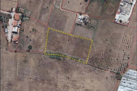 Helårsgrund i Faro, Faro, Faro - € 2.150.000 | Ref: KWPT-023719 - foto 28