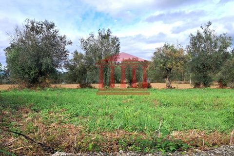 Helårsgrund i Barcelos, Braga, Barcelos - € 165.000 | Ref: 272T001068 - foto 1